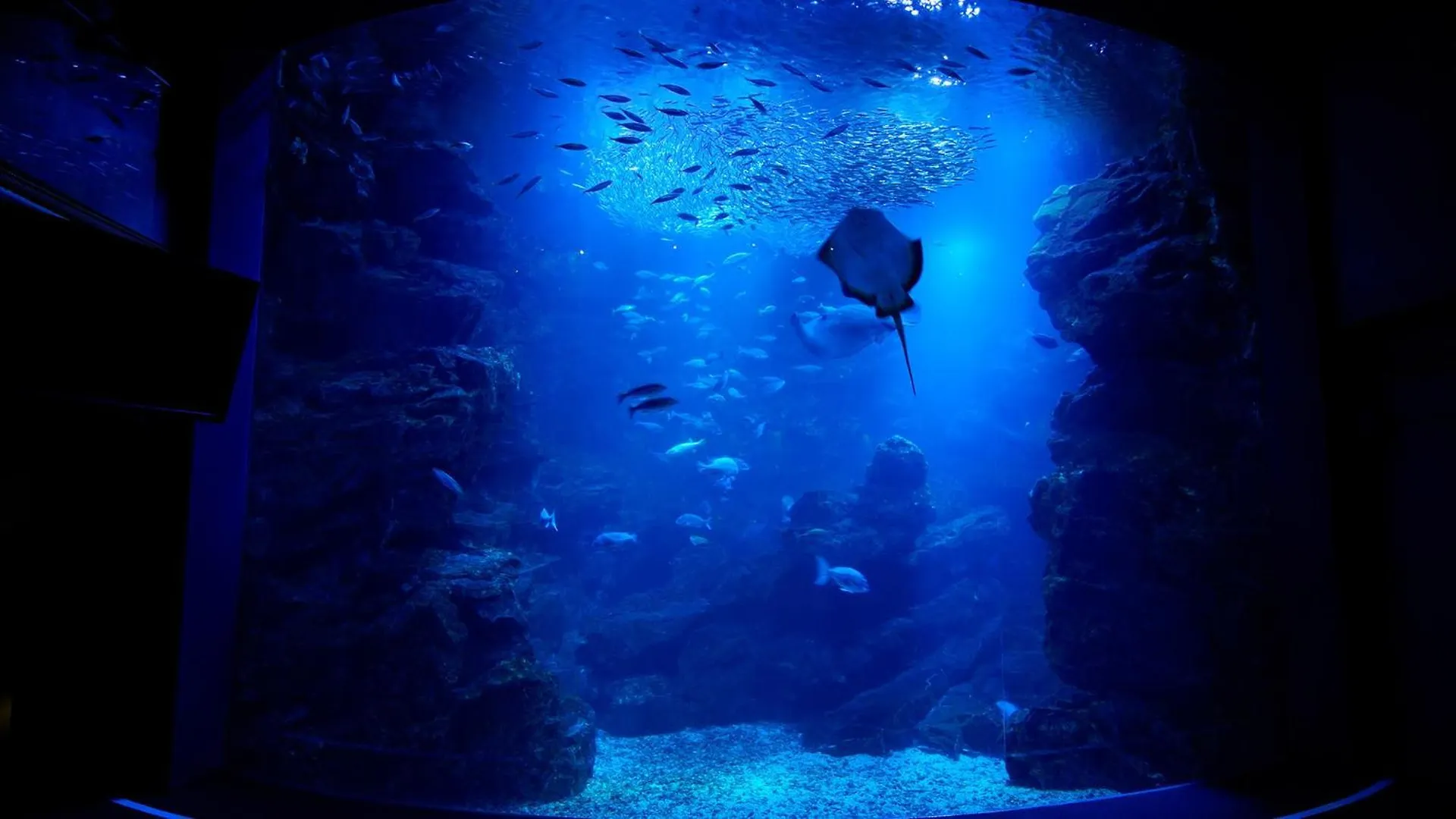 Hotel Toyoko Inn Kyoto Gojo Omiya